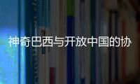 神奇巴西与开放中国的协作共赢