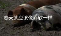 春天就应该像乔欣一样 把自己穿成香芋味儿