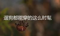 遛狗都能穿的这么时髦 只有Kendall能办到了吧！