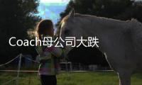 Coach母公司大跌 亏损7.148亿美元